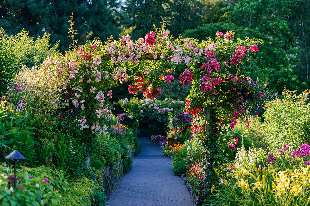 the butchart gardens | The Style Scribe