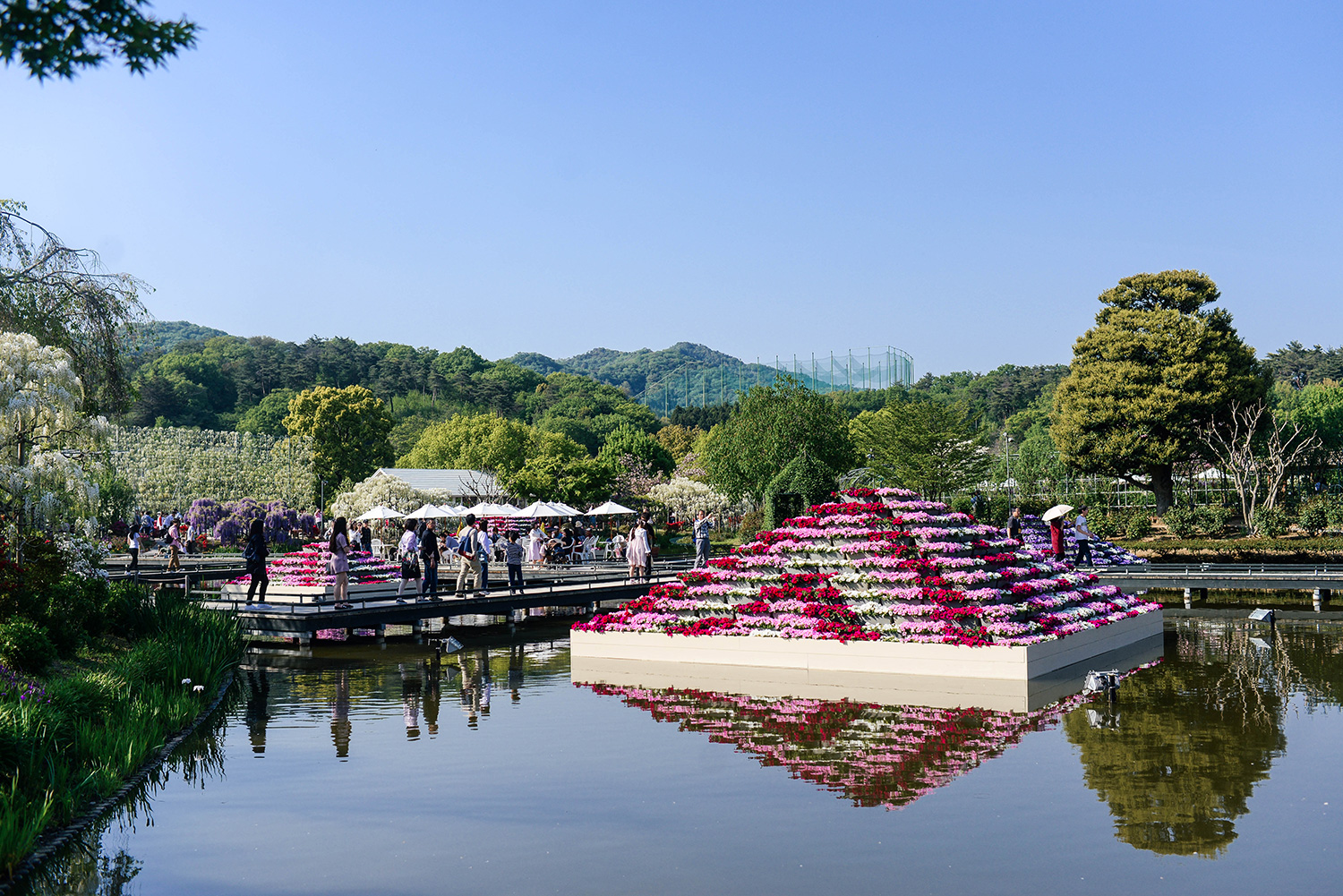 Tips for Visiting Ashikaga Flower Park in Japan | The Style Scribe