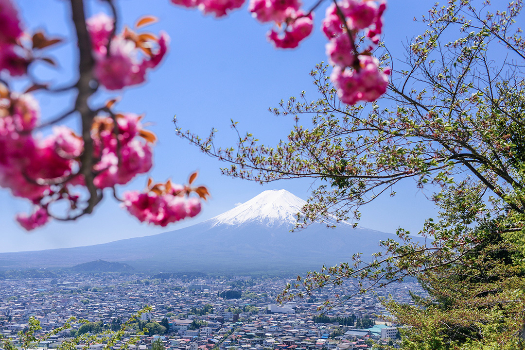 Chureito Pagoda | Best Mt Fuji Viewing Spots