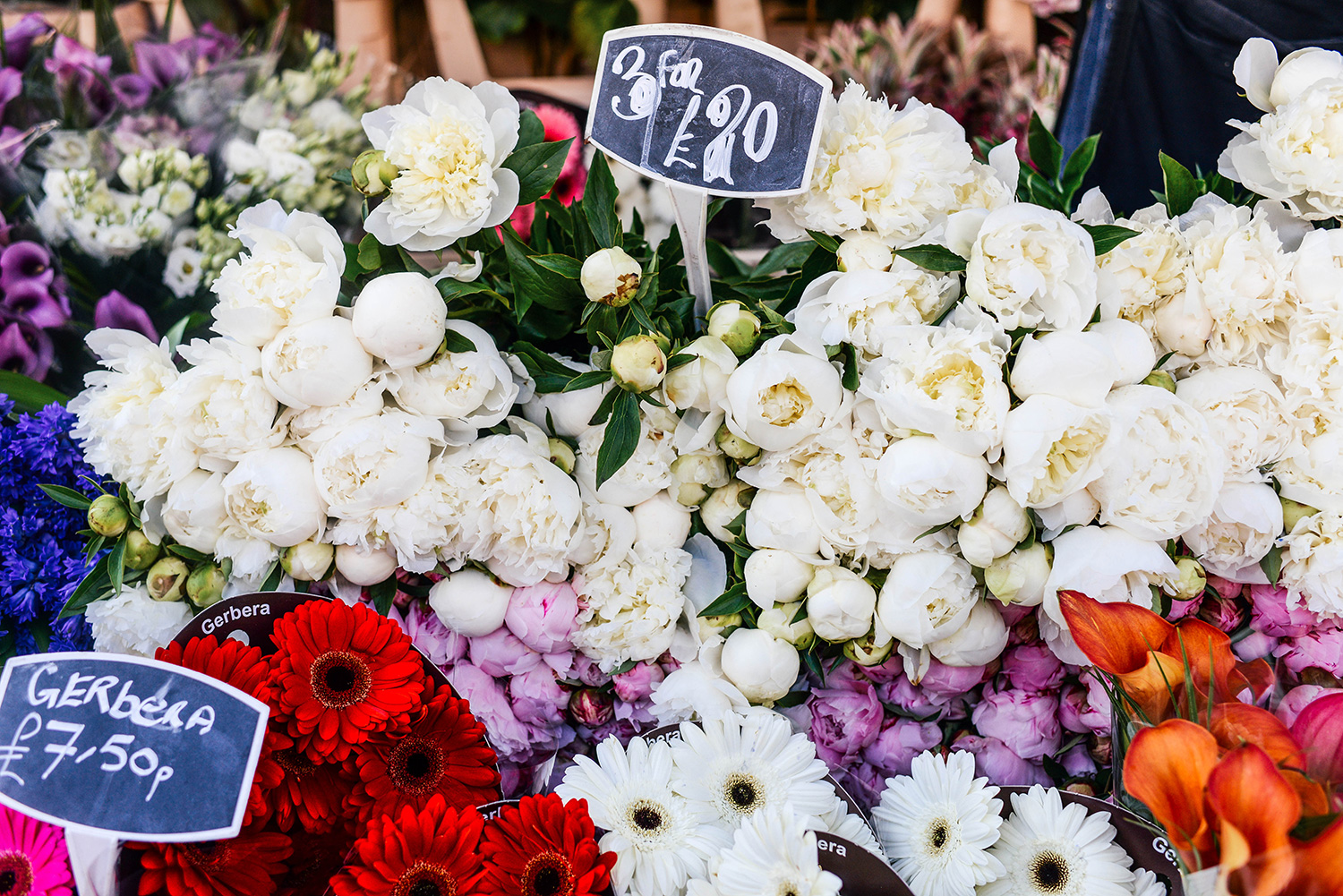 Columbia Road Flower Market | The Style Scribe