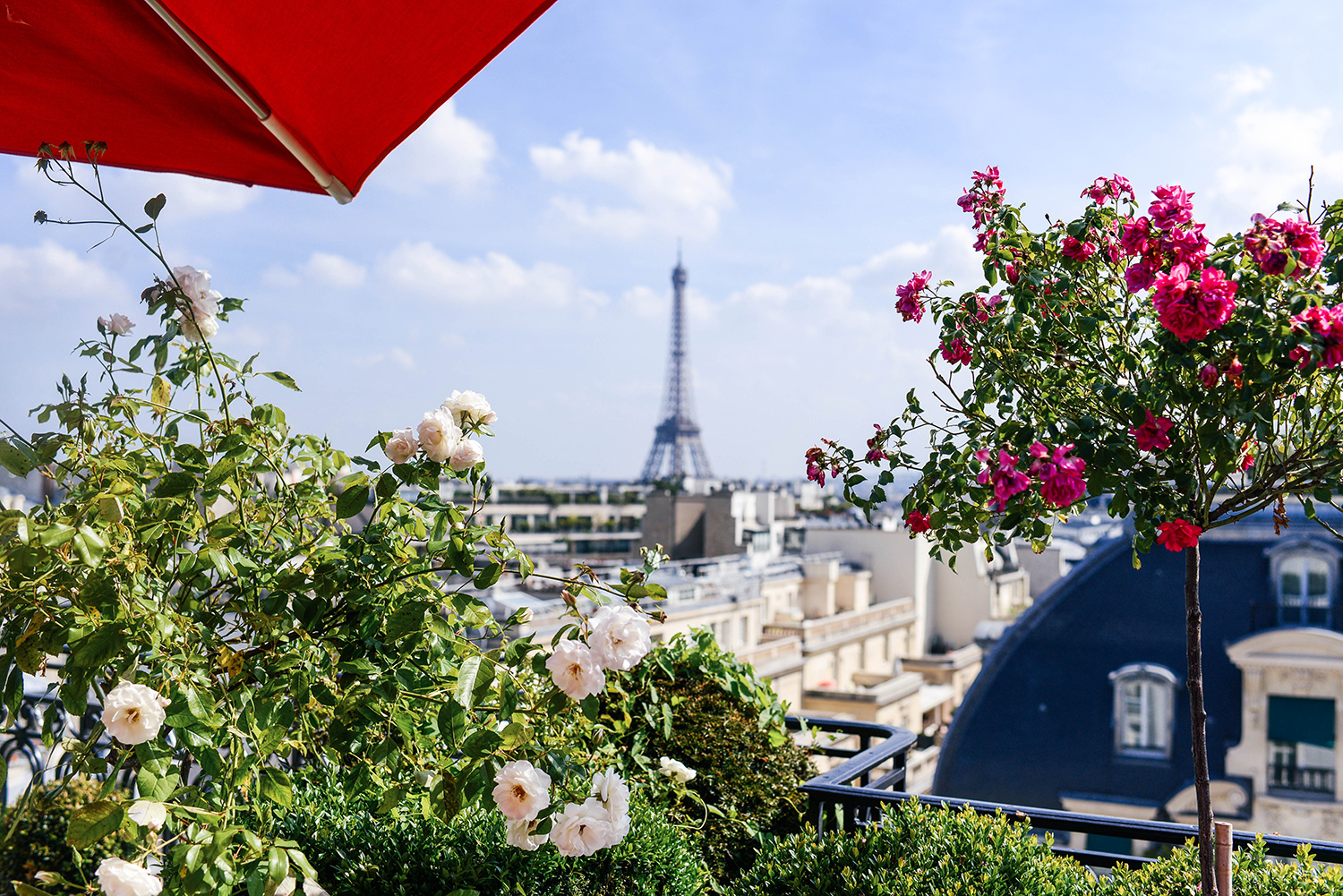 Where to Find and See The Best Views in Paris, France