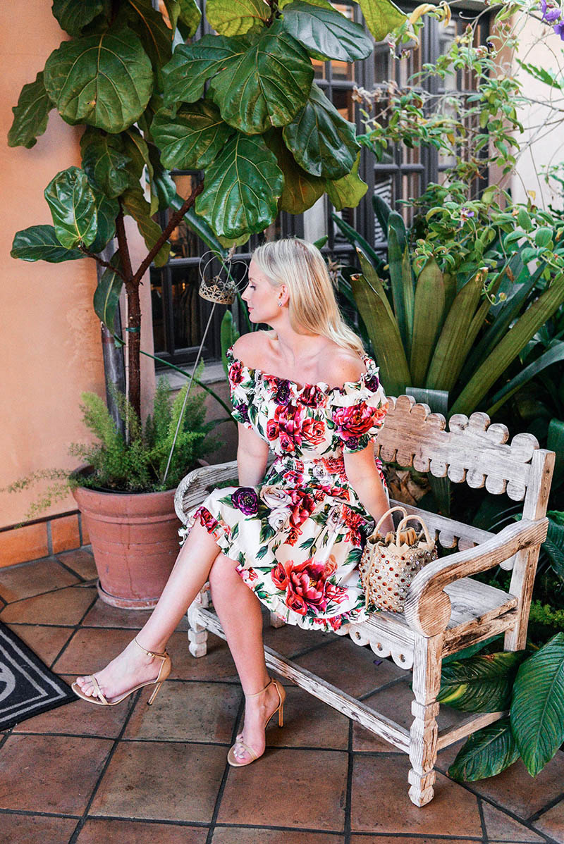 Merritt Beck in a Dolce & Gabbana Rose Print Dress | Dallas Fashion Blogger