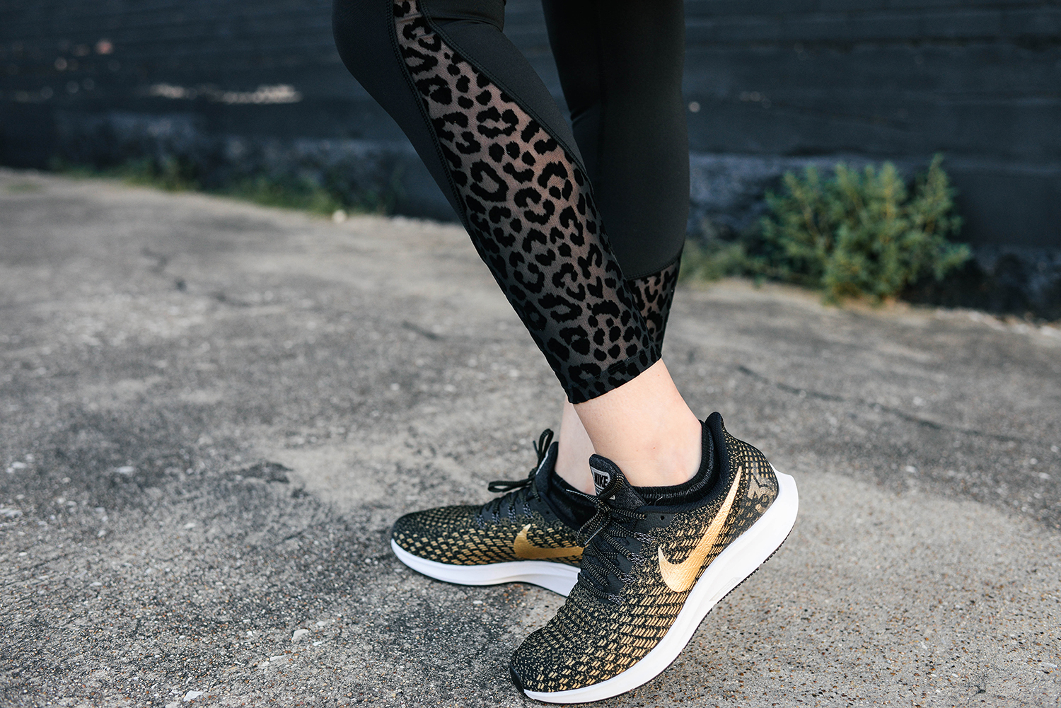 Kate Spade Leopard Workout Clothes | Fitness Update