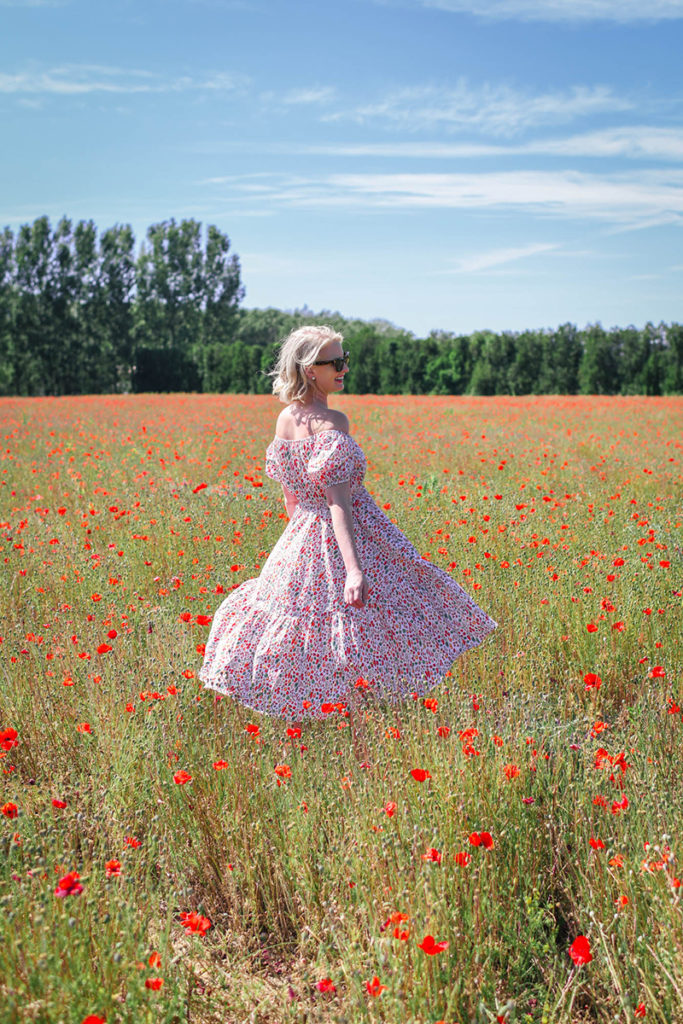 Poppy Fields in Provence, France